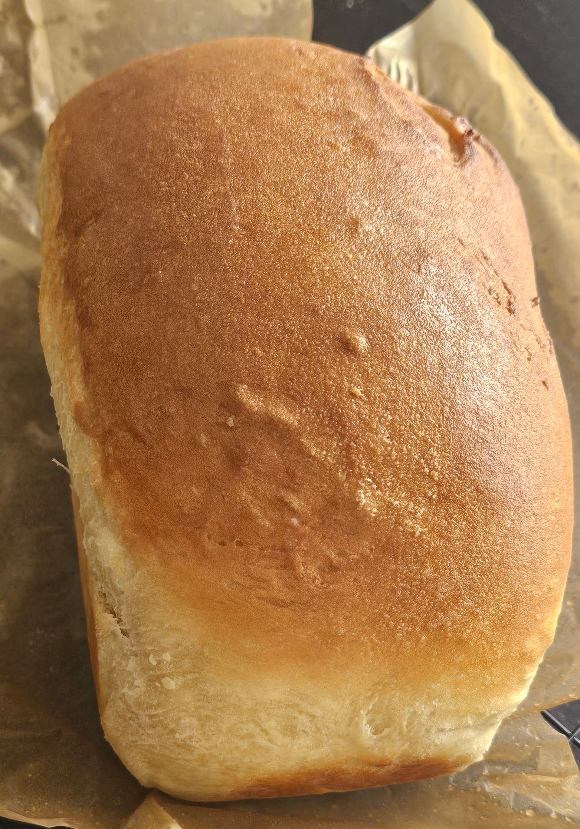 Sandwich Bread Loaf