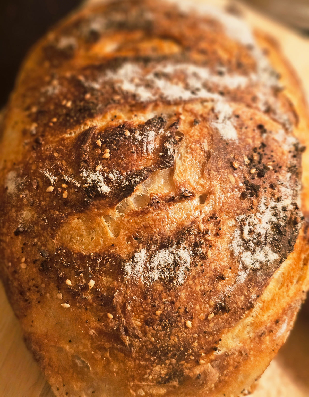 Caramelized Onion Sourdough Loaf