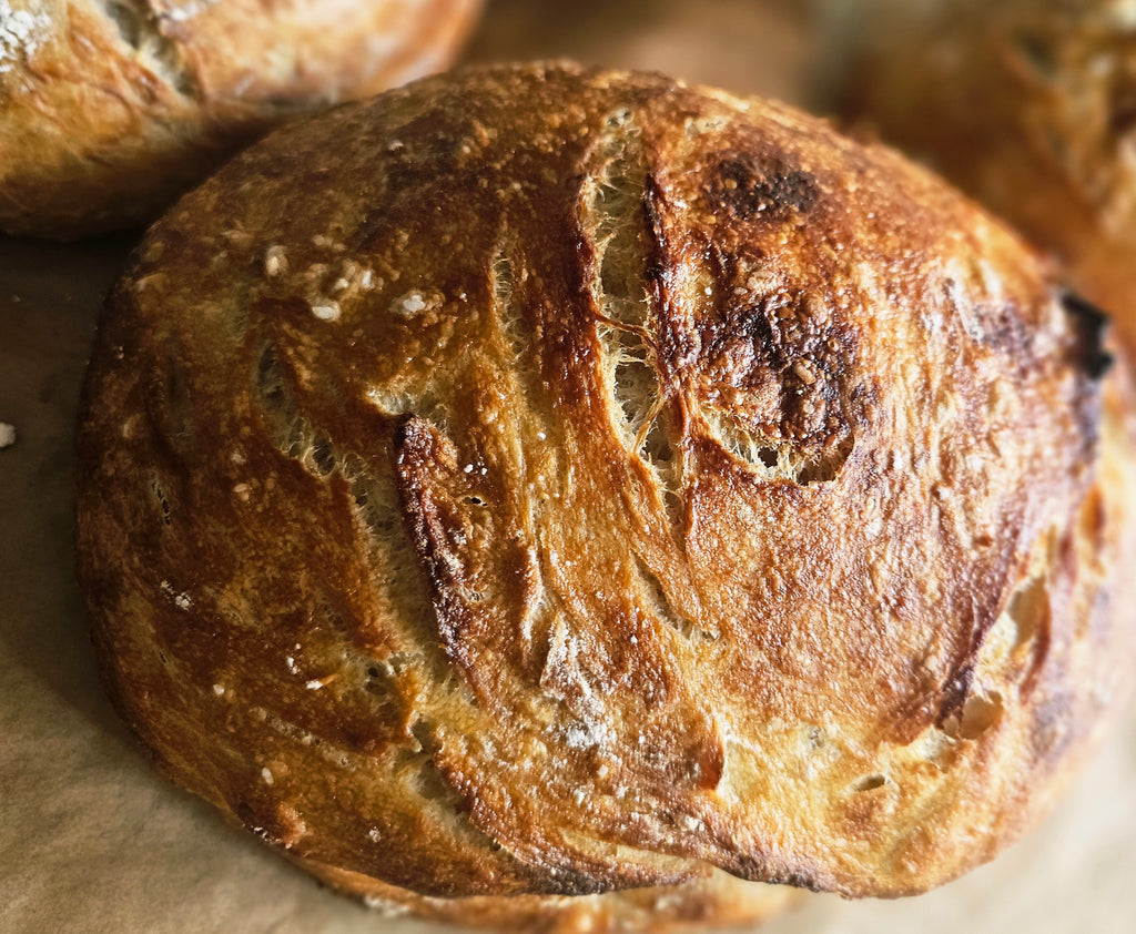 Sourdough Loaf
