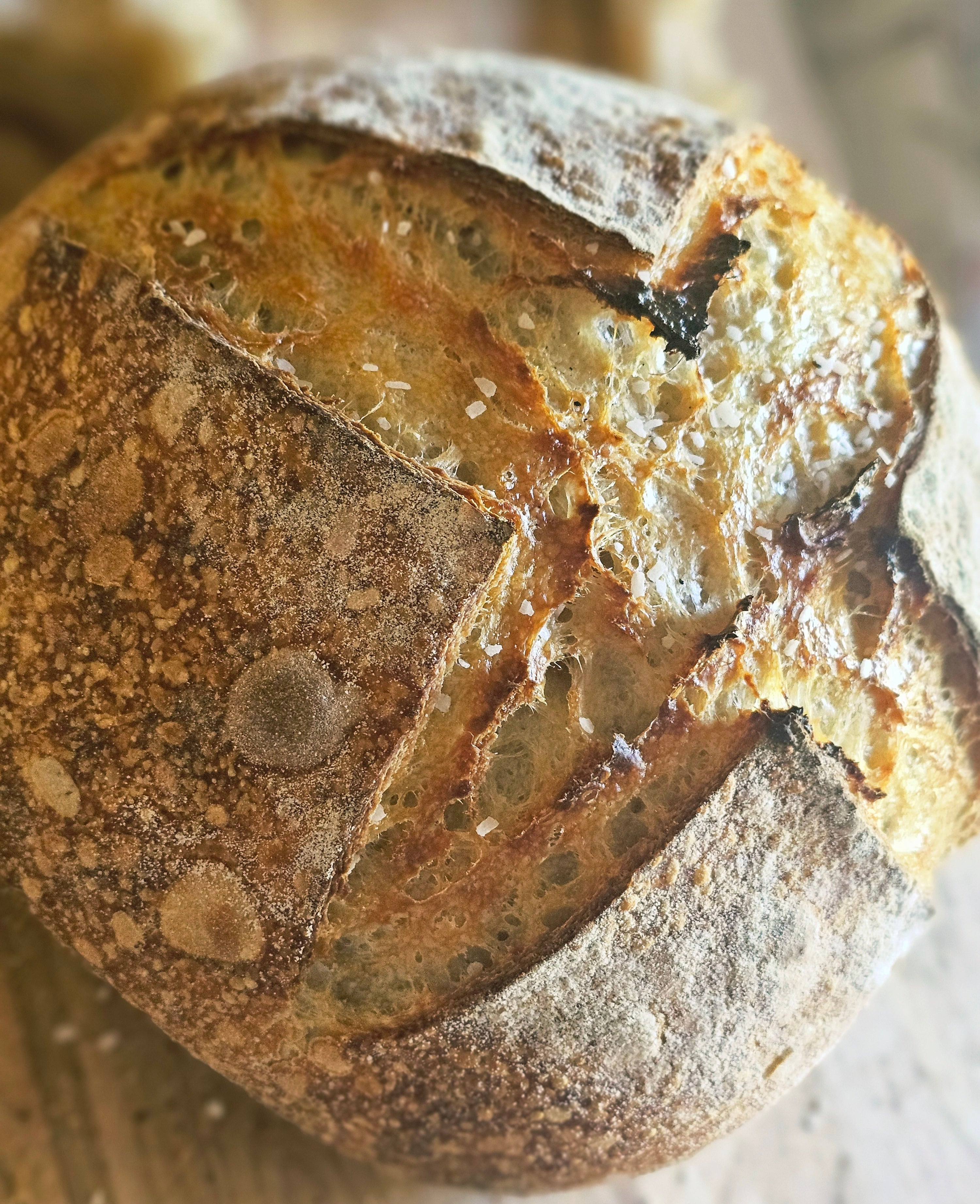 Sourdough Loaf