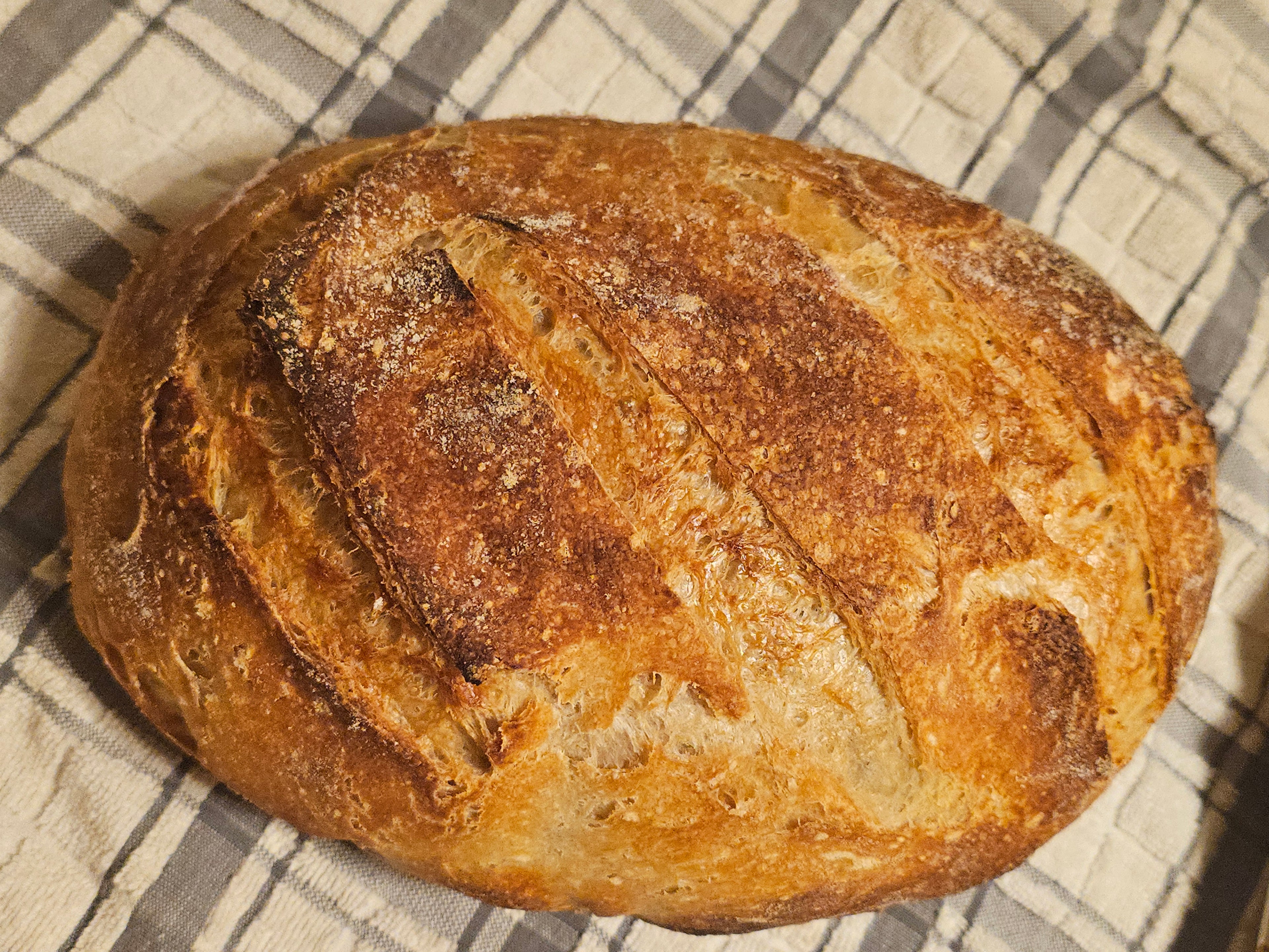 Sourdough Loaf