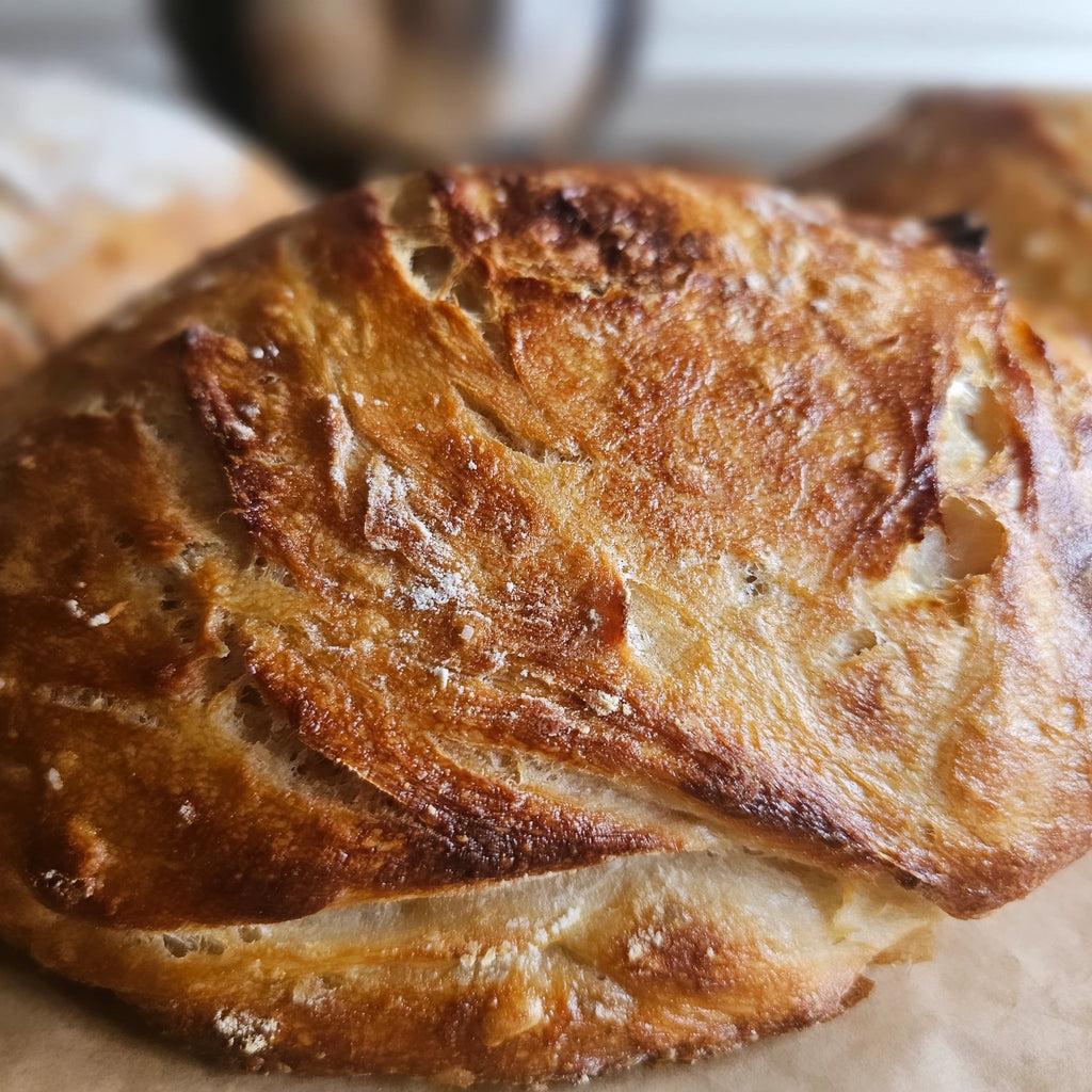 Sourdough Loaf
