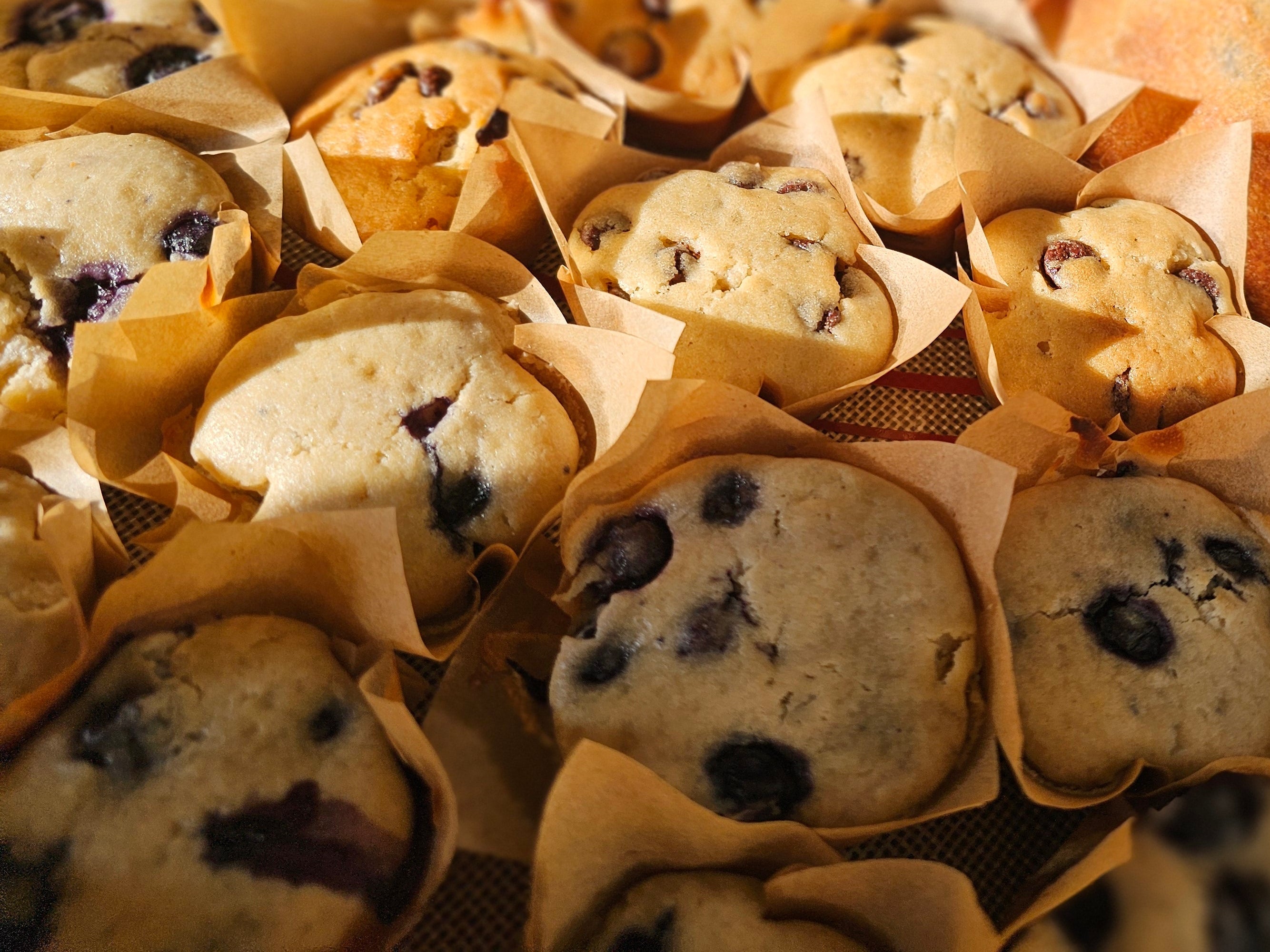 Mini Muffin 8 pack- Blueberry Cheesecake